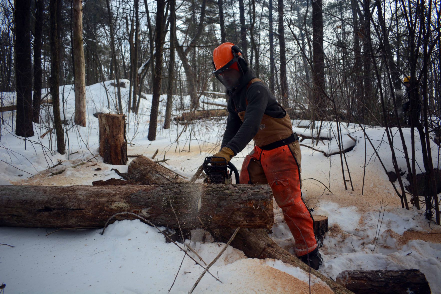 Devil's Lake east bluff stewardship work